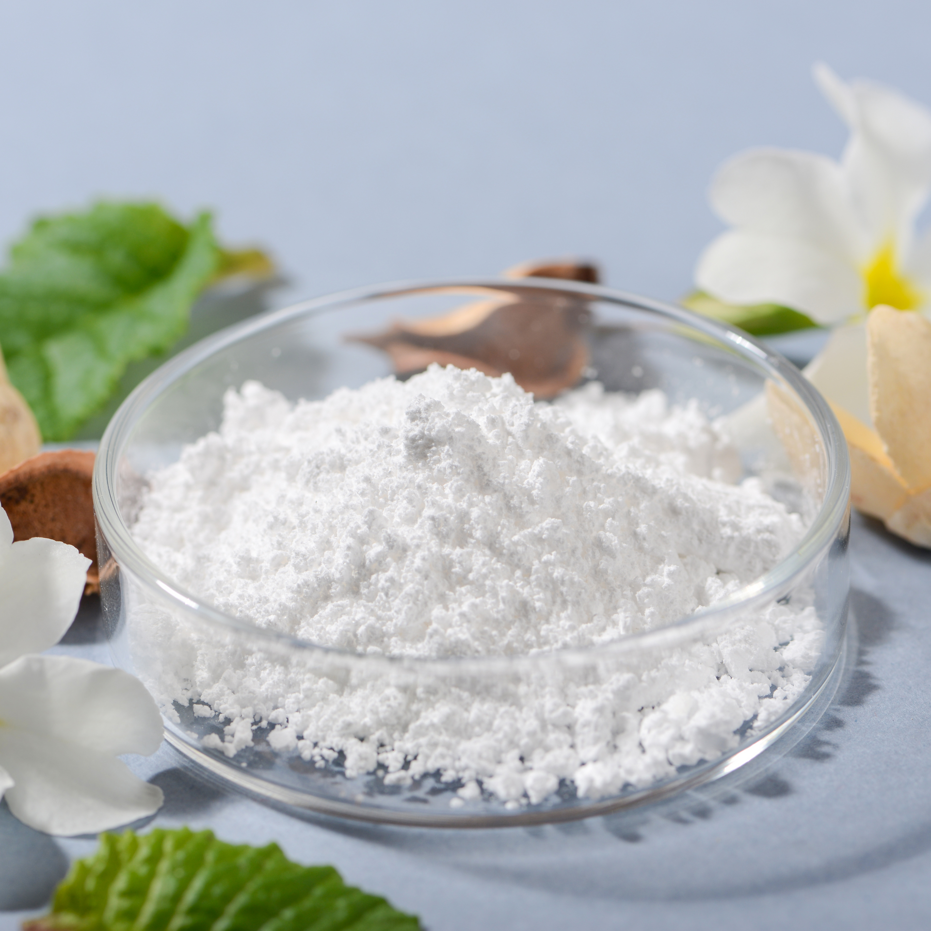 glutathione powder amazon Vitalhealth V-Glutation – Sorpresa main image 1